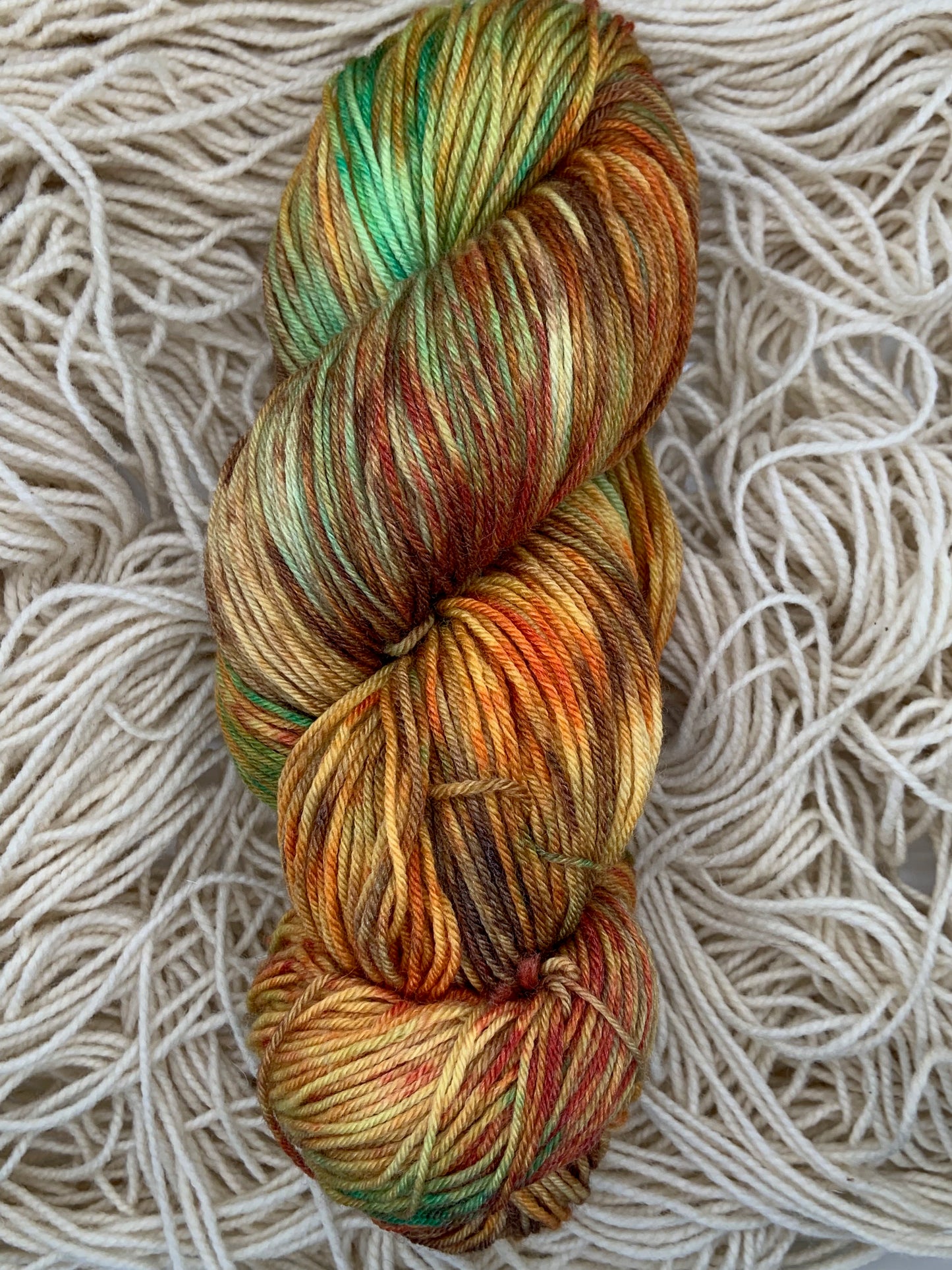 MINT MY PUMPKIN Hand Dyed Yarn